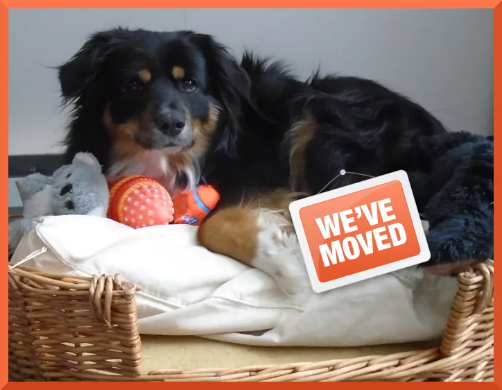 we-have-moved